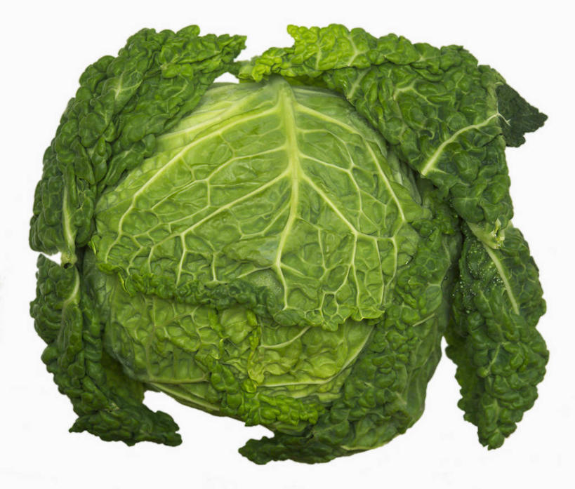 无人,横图,俯视,室内,特写,白天,白色背景,餐桌,桌子,蔬菜,椰菜,卷心菜,叶子,阴影,新鲜,反射,影子,食品,绿叶,食物,一个,绿色,嫩叶,甘蓝,摄影,有机食品,绿色食品,影棚,单个,餐台,皱叶甘蓝,皱叶包菜,皱叶洋白菜,皱叶椰菜,皱叶圆白菜,叶,叶片,结球甘蓝,甘兰,包心菜,彩图,高角度拍摄,影棚拍摄,拍摄
