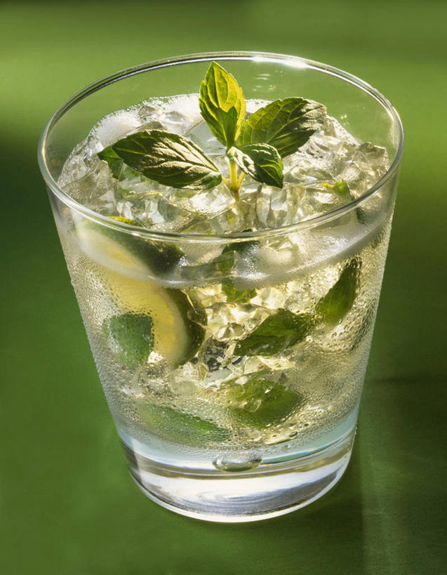 无人,竖图,俯视,室内,特写,白天,餐桌,桌子,柠檬,杯子,水果,叶子,切开,阴影,朦胧,模糊,新鲜,反射,影子,冰,生食,冰块,食品,果实,绿叶,酒类,一杯,文化,冷冻,玻璃制品,酒,食物,饮料,一个,水杯,鸡尾酒,切,嫩叶,寒冷,调酒,有机食品,绿色食品,冷藏,单个,餐台,冰冷,创造,剖面,想象,莫吉托,切面,保鲜,叶,叶片,玻璃杯,益母果,柠果,彩图,高角度拍摄