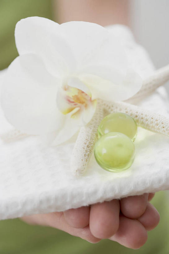 西方人,手,一个人,捧,竖图,俯视,室内,特写,白天,海星,欧洲,欧洲人,双手,仅一个年轻女性,仅一个女性,仅一个人,服装,朦胧,模糊,盛开,纺织物,花蕾,休闲装,海洋生物,花,花瓣,花朵,鲜花,衣服,自然,动物,毛巾,花苞,花蕊,清洁,休闲,手部,休闲服,生物,服饰,保暖,高雅,透气,防水,淡泊,花中君子,储水,耐磨,吸水,兰花,棘皮动物门,年轻女性,女人,女性,白种人,星鱼,端,端着,捧着,手捧,半身,彩图,高角度拍摄