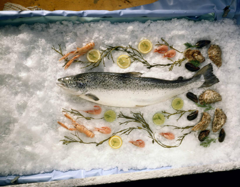 海鲜,无人,横图,俯视,室内,特写,白天,桌面,桌子,一堆,一条,许多,阴影,堆叠,堆积,反射,木制,鱼,影子,冰,冰块,很多,冷冻,水产,鱼类,海洋生物,木制品,海藻,寒冷,冷藏,堆,海草,冰冷,水生动物,海产品,水生物,海底动物,保鲜,彩图,高角度拍摄,全身