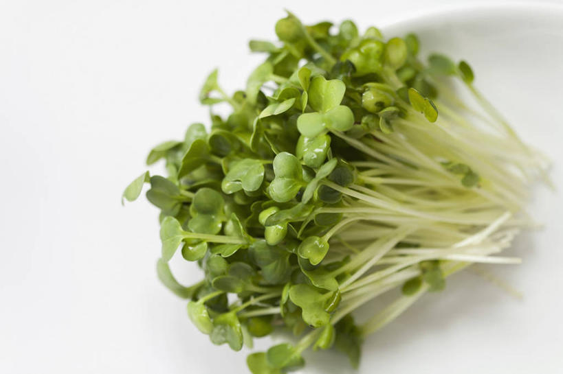 无人,横图,俯视,室内,特写,白天,白色背景,桌面,桌子,芹菜,蔬菜,叶子,一堆,阴影,堆叠,堆积,新鲜,反射,木制,影子,食品,绿叶,食物,木制品,嫩叶,摄影,有机食品,绿色食品,影棚,堆,根芹菜,根洋芹,球根塘蒿,叶,叶片,药芹,水芹,旱芹,彩图,高角度拍摄,影棚拍摄,拍摄