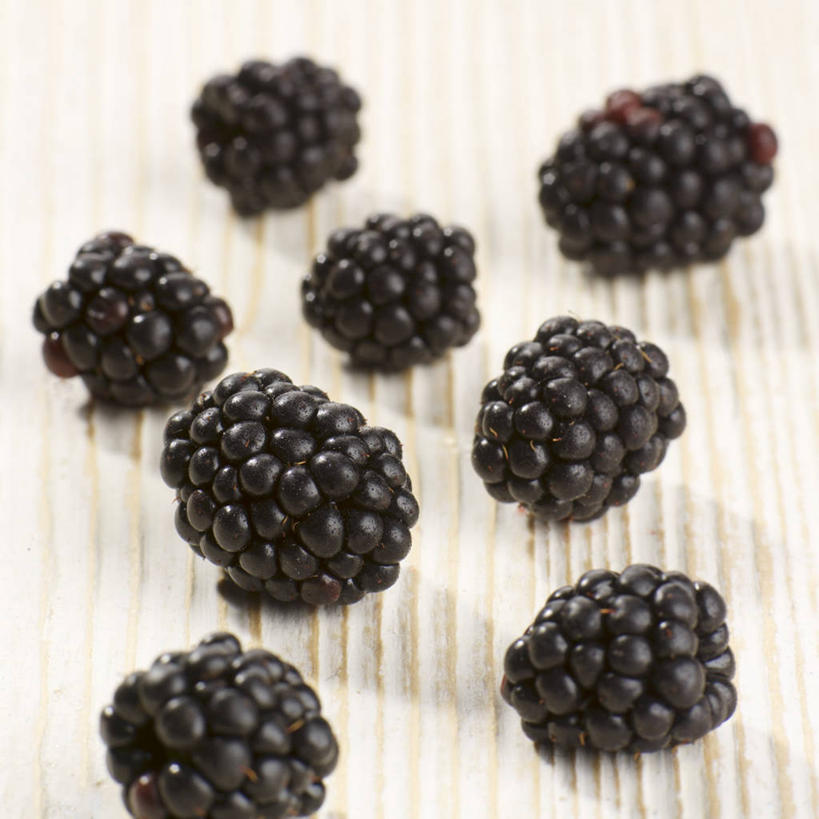 无人,方图,俯视,室内,特写,白天,桌面,桌子,黑莓,水果,许多,新鲜,木制,生食,食品,果实,食物,紫色,木制品,有机食品,绿色食品,露莓,彩图,高角度拍摄