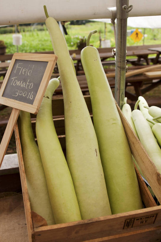 无人,商店,竖图,俯视,室内,特写,白天,购物,消费,超市,南瓜,蔬菜,朦胧,模糊,新鲜,木制,木盒,金瓜,食品,番瓜,食物,木制品,容器,黑板,教学,金融,百货,有机食品,绿色食品,储藏,麦瓜,倭瓜,储存,选购,贸易,百货公司,血拼,耐磨,教学黑板,超级市场,大卖场,彩图,高角度拍摄,购物商场,购物中心,商业中心,贮存