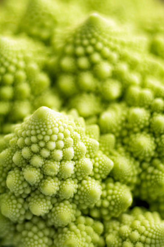 无人,竖图,俯视,室内,特写,白天,餐桌,桌子,蔬菜,阴影,朦胧,模糊,新鲜,反射,影子,花菜,花椰菜,西兰花,食品,食物,绿色,有机食品,绿色食品,餐台,椰菜花,罗马花椰菜,青宝塔,甘蓝花,彩图,高角度拍摄