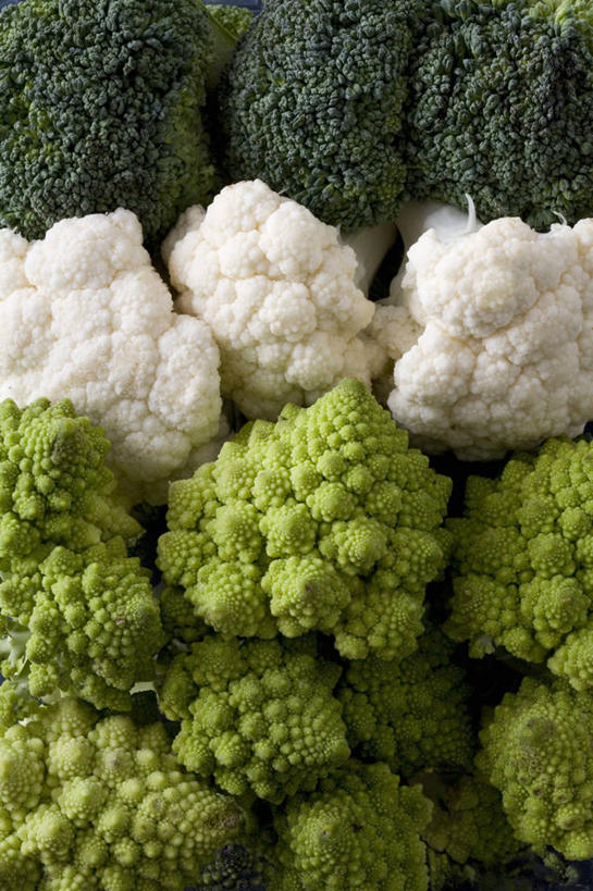 无人,竖图,俯视,室内,特写,白天,蔬菜,一堆,许多,阴影,堆叠,堆积,新鲜,反射,影子,花菜,花椰菜,西兰花,食品,食物,绿色,白色,有机食品,绿色食品,堆,椰菜花,罗马花椰菜,青宝塔,甘蓝花,彩图,高角度拍摄