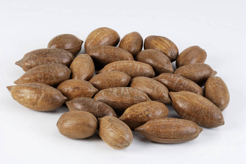 无人,横图,俯视,室内,特写,白天,白色背景,餐桌,桌子,一堆,许多,阴影,堆叠,堆积,反射,影子,核桃,坚果,果实,干果,摄影,影棚,餐台,堆,小核桃,山核桃,胡桃,羌桃,彩图,高角度拍摄,影棚拍摄,拍摄