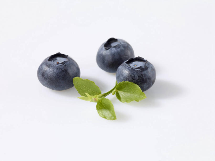 无人,横图,俯视,室内,特写,白天,白色背景,餐桌,桌子,浆果,蓝莓,水果,叶子,阴影,新鲜,反射,影子,生食,食品,果实,绿叶,三颗,食物,蓝色,嫩叶,摄影,有机食品,绿色食品,影棚,餐台,叶,叶片,山都柿,蓝浆果,蓝靛果,彩图,高角度拍摄,影棚拍摄,拍摄