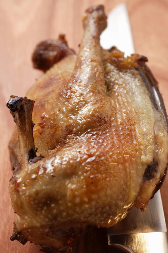 无人,竖图,俯视,室内,特写,白天,烧烤,桌面,桌子,鸟,金属制品,一把,阴影,朦胧,模糊,反射,金属,木制,斑鸠,鸟类,工具,影子,刀具,烤架,烤肉,木制品,刀,铁架,摄影,影棚,菜刀,切菜刀,欧斑鸠,彩图,高角度拍摄,影棚拍摄,拍摄