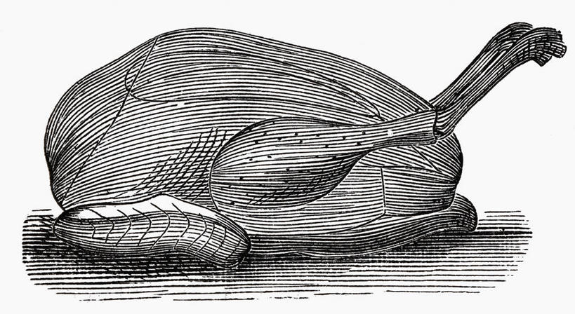 无人,横图,室内,白天,正面,绘画,餐桌,桌子,鸡,阴影,艺术,反射,影子,鸡肉,肉,古典,文化,肉类,家禽,动物,工艺品,品味,烤鸡,牲畜,餐台,美术,高雅,肉食,美学,铅笔画,彩图