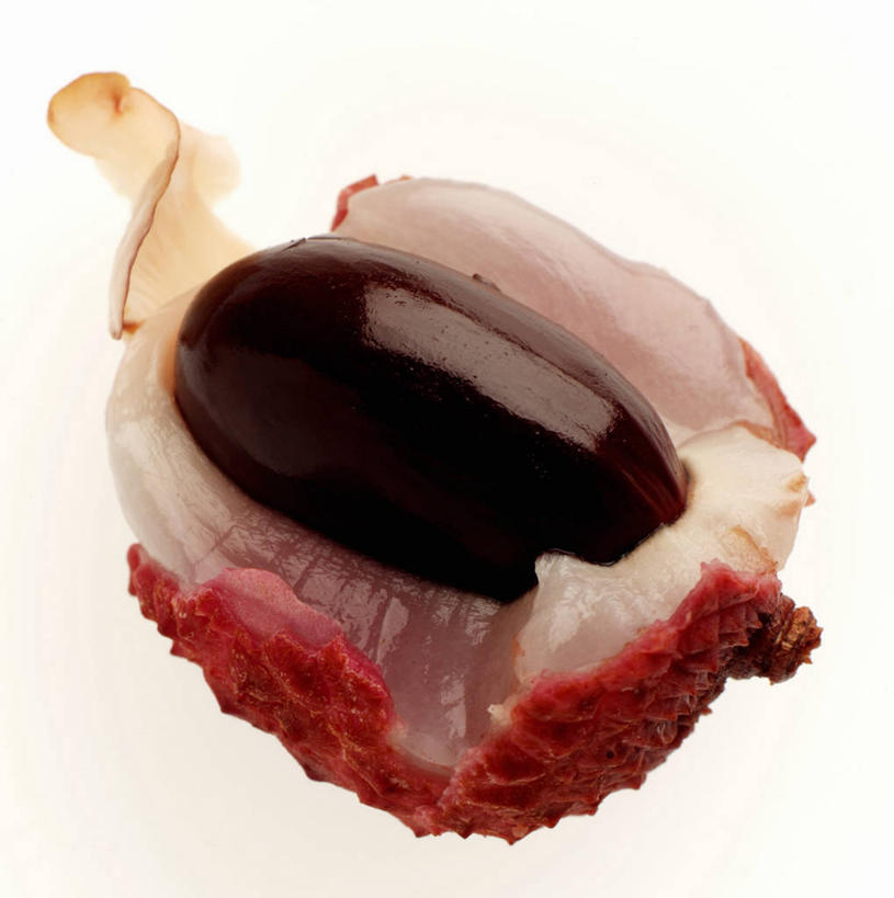 无人,竖图,俯视,室内,特写,白天,白色背景,桌面,桌子,荔枝,水果,阴影,新鲜,反射,木制,影子,生食,食品,果实,食物,一个,红色,木制品,摄影,有机食品,绿色食品,影棚,单个,离枝,彩图,高角度拍摄,影棚拍摄,拍摄