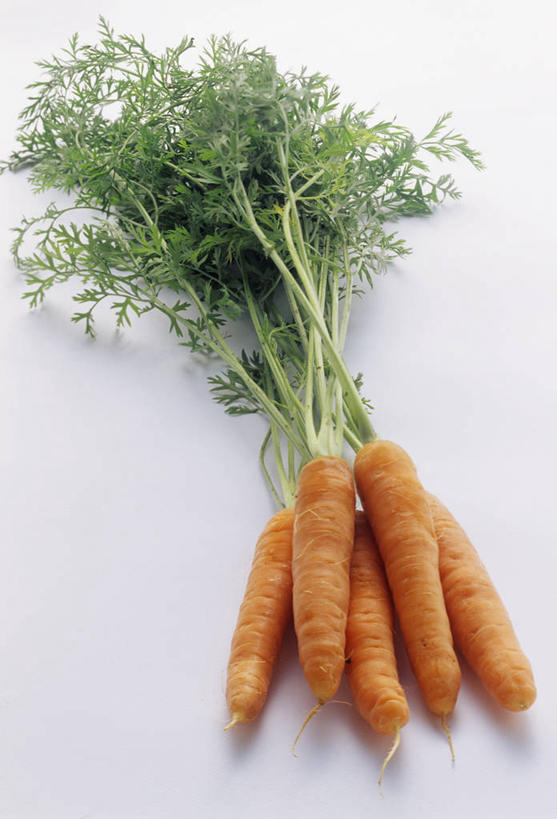 无人,竖图,俯视,室内,特写,白天,白色背景,餐桌,桌子,萝卜,胡萝卜,蔬菜,叶子,阴影,新鲜,反射,影子,食品,绿叶,食物,橙色,嫩叶,摄影,有机食品,绿色食品,影棚,餐台,无根,叶,叶片,红萝卜,甘荀,彩图,高角度拍摄,影棚拍摄,拍摄