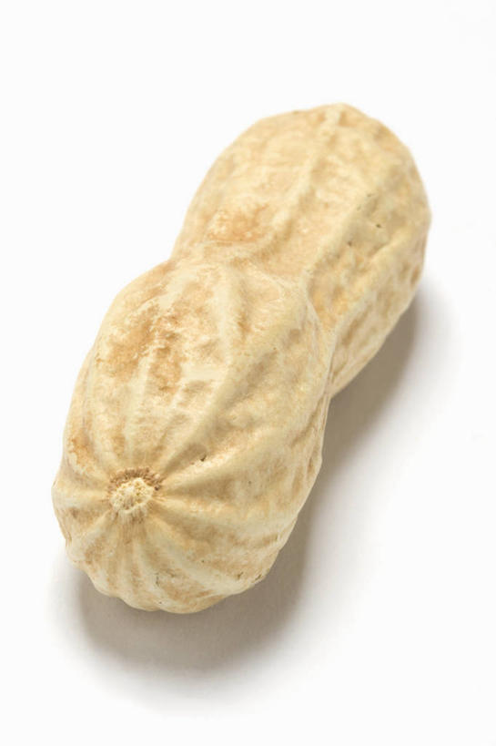 无人,竖图,俯视,室内,特写,白天,白色背景,植物,桌面,桌子,豆,花生,阴影,反射,纹路,木制,纹理,影子,豆类,豆子,坚果,一个,黄色,木制品,摄影,长生果,影棚,单个,花生仁,豆科,肌理,落花生,落生,花生米,花生豆,彩图,高角度拍摄,影棚拍摄,拍摄