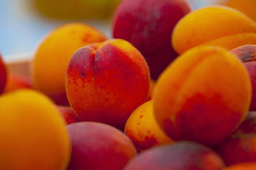 无人,横图,俯视,室内,特写,白天,餐桌,桌子,杏,水果,一堆,许多,阴影,堆叠,堆积,朦胧,模糊,新鲜,反射,影子,生食,食品,果实,很多,食物,红色,橙色,有机食品,绿色食品,餐台,堆,杏果,杏子,彩图,高角度拍摄