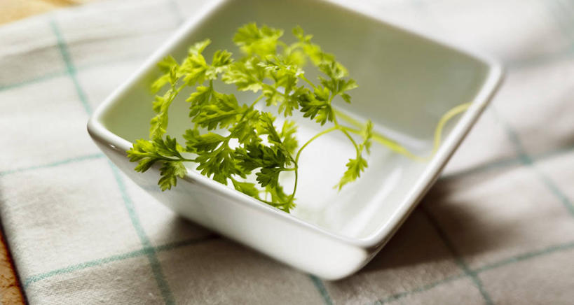 无人,横图,俯视,室内,特写,白天,植物,餐桌,桌子,阴影,反射,布料,影子,陶瓷,草药,药草,陶瓷制品,布纹,中药,桌布,一个,白色,餐巾,容器,台布,碗,摄影,影棚,单个,餐台,储藏,储存,药材,中草药,轮峰菊,中药材,本草,山萝卜,松虫草,紫盆花,彩图,高角度拍摄,影棚拍摄,拍摄,贮存