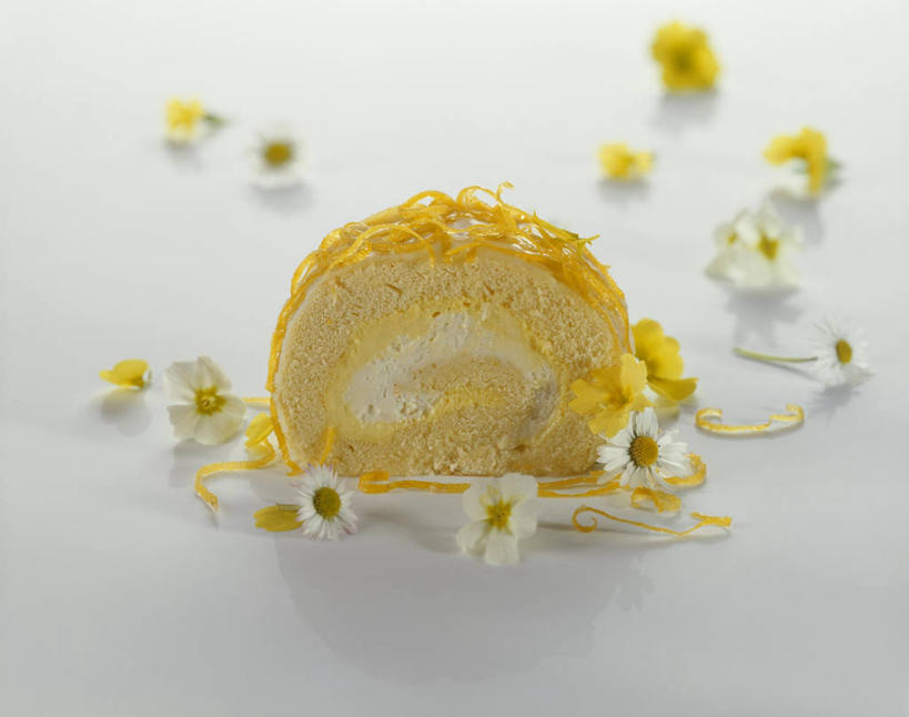 点心,无人,横图,俯视,室内,特写,白天,白色背景,下午茶,餐桌,桌子,一块,许多,阴影,盛开,反射,影子,食品,花蕾,花,花瓣,花朵,鲜花,食物,糕点,花苞,花蕊,摄影,影棚,餐台,海绵蛋糕,彩图,高角度拍摄,影棚拍摄,拍摄,蛋糕