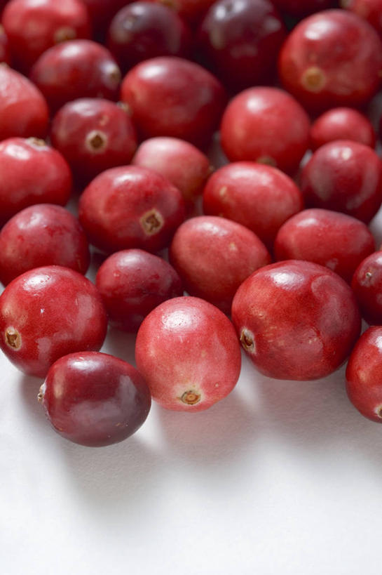 无人,竖图,俯视,室内,特写,白天,白色背景,餐桌,桌子,浆果,水果,一排,许多,阴影,新鲜,整齐,反射,影子,生食,食品,果实,食物,排列,红色,摄影,有机食品,绿色食品,影棚,餐台,曼越桔,蔓越橘,小红莓,队列,酸莓,彩图,高角度拍摄,影棚拍摄,拍摄