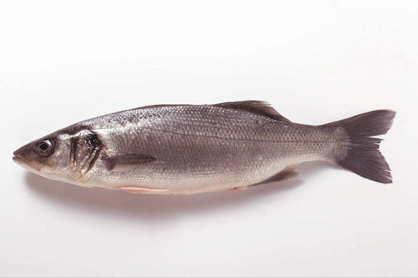 无人,横图,俯视,室内,特写,白天,白色背景,桌面,桌子,一条,阴影,反射,木制,鱼,影子,肉,鱼肉,肉类,鱼类,木制品,摄影,影棚,肉食,大口黑鲈,黑鲈,加州鲈鱼,彩图,高角度拍摄,全身,影棚拍摄,拍摄