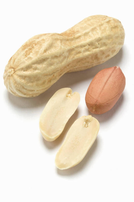 无人,竖图,俯视,室内,特写,白天,白色背景,植物,桌面,桌子,豆,花生,蔬菜,阴影,新鲜,反射,木制,影子,豆类,豆子,食品,坚果,食物,木制品,摄影,长生果,有机食品,绿色食品,影棚,花生仁,豆科,落花生,落生,花生米,花生豆,彩图,高角度拍摄,影棚拍摄,拍摄