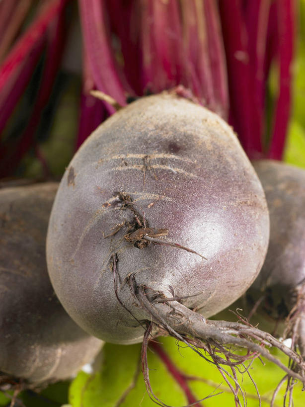 无人,竖图,俯视,室内,特写,白天,蔬菜,叶子,阴影,朦胧,模糊,新鲜,反射,影子,食品,绿叶,食物,嫩叶,有机食品,绿色食品,根甜菜,红菜头,甜菜根,菾菜,紫菜头,糖萝卜,叶,叶片,彩图,高角度拍摄