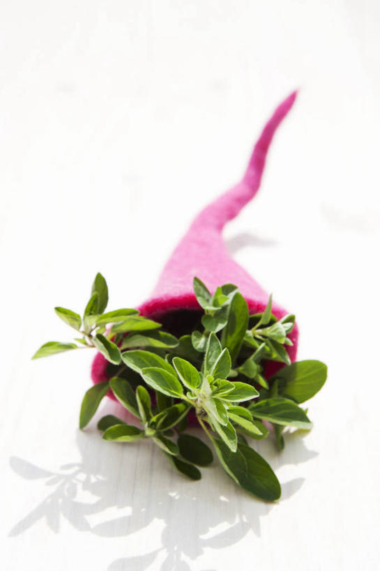 无人,竖图,俯视,室内,特写,白天,白色背景,植物,餐桌,桌子,阴影,反射,影子,草药,药草,中药,容器,摄影,影棚,餐台,储藏,牛至,储存,药材,中草药,滇香蕾,土香薷,中药材,本草,荆芥,香薷,奥勒冈草,白花土荆芥,白花茵陈,川香薷,俄力冈叶,减脂叶,满山香,蘑菇草,披萨草,银薄荷,止痢草,彩图,高角度拍摄,影棚拍摄,拍摄,贮存