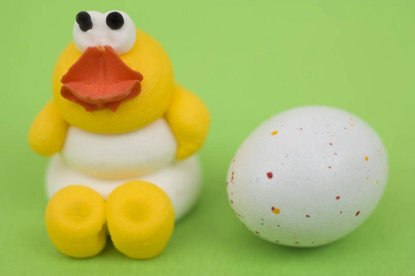 无人,横图,俯视,室内,特写,白天,鸡,复活节,绿色背景,阴影,节日,庆祝,反射,影子,蛋,文化,家禽,一个,一只,动物,庆典,摄影,牲畜,影棚,单个,纪念,彩蛋,复活节彩蛋,彩图,高角度拍摄,全身,影棚拍摄,拍摄