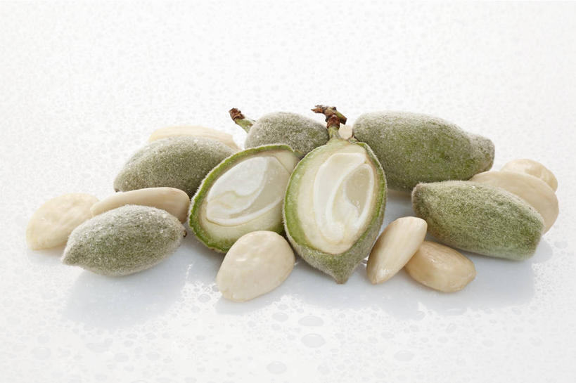 无人,横图,俯视,室内,特写,白天,白色背景,餐桌,桌子,杏仁,一堆,许多,阴影,堆叠,堆积,反射,影子,摄影,影棚,餐台,堆,杏子,杏梅仁,杏核仁,木落子,苦杏仁,彩图,高角度拍摄,影棚拍摄,拍摄