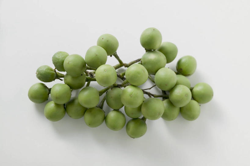 无人,横图,俯视,室内,特写,白天,白色背景,餐桌,桌子,茄子,蔬菜,一堆,许多,阴影,堆叠,堆积,新鲜,反射,影子,食品,食物,绿色,摄影,有机食品,绿色食品,影棚,餐台,堆,落苏,酪酥,昆仑瓜,矮瓜,彩图,高角度拍摄,影棚拍摄,拍摄