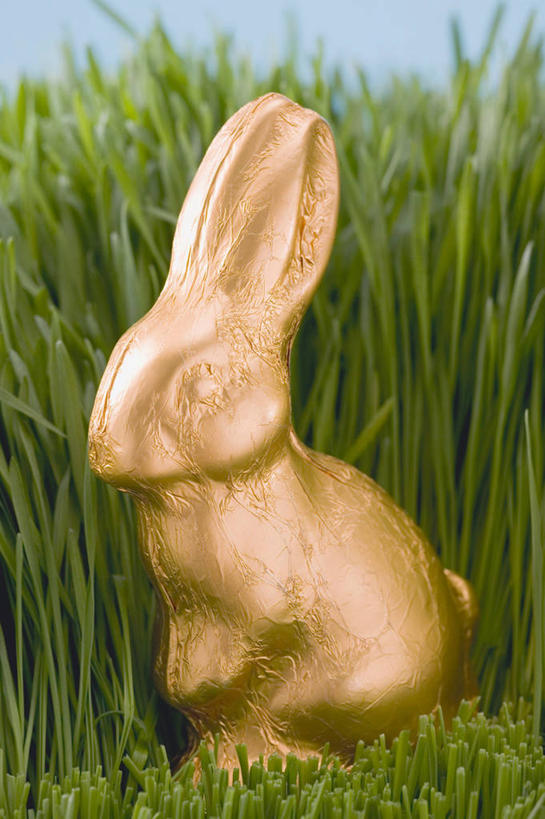 无人,竖图,俯视,室内,特写,白天,草地,植物,桌面,桌子,哺乳动物,雕塑,复活节,阴影,蓝色背景,节日,庆祝,艺术,装饰,反射,木制,兔子,包装,包装纸,雕刻,雕像,铝箔纸,锡箔纸,影子,纸,蛋,食品,糖,糖果,甜点,甜品,纸张,文化,草,食物,一个,绿色,动物,木制品,工艺品,甜食,巧克力,庆典,摄影,影棚,单个,纪念,朱古力,黑巧克力,兔,美术,包装材料,主题,彩蛋,陈列,锡箔,复活节彩蛋,铝箔,功能,美学,彩图,高角度拍摄,影棚拍摄,拍摄