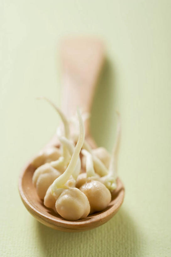 无人,竖图,俯视,室内,特写,白天,餐桌,桌子,蔬菜,一堆,绿色背景,阴影,堆叠,堆积,新鲜,反射,木制,影子,勺子,豆类,食品,食物,一个,木制品,调羹,汤匙,摄影,有机食品,绿色食品,影棚,单个,餐台,堆,鹰嘴豆,回鹘豆,桃豆,鸡豆,诺胡提,彩图,高角度拍摄,影棚拍摄,拍摄