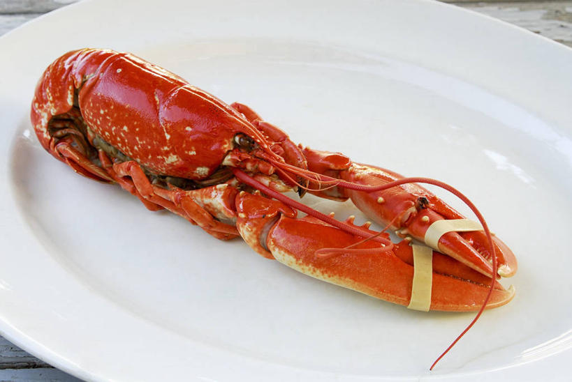 海鲜,龙虾,无人,横图,俯视,室内,特写,白天,桌面,桌子,餐具,阴影,反射,木制,碟子,盘,影子,虾,水产,海洋生物,一个,红色,盘子,木制品,碟,摄影,影棚,单个,水生动物,海产品,水生物,海底动物,彩图,高角度拍摄,全身,影棚拍摄,拍摄