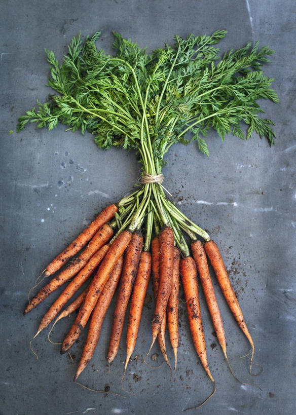 无人,竖图,俯视,室内,特写,白天,桌面,桌子,萝卜,胡萝卜,蔬菜,叶子,一堆,许多,阴影,堆叠,堆积,新鲜,反射,影子,大理石,食品,绿叶,食物,绳子,嫩叶,肮脏,有机食品,绿色食品,堆,捆绑,绳索,邋遢,大理石制品,龌龊,污秽,叶,叶片,红萝卜,甘荀,彩图,高角度拍摄