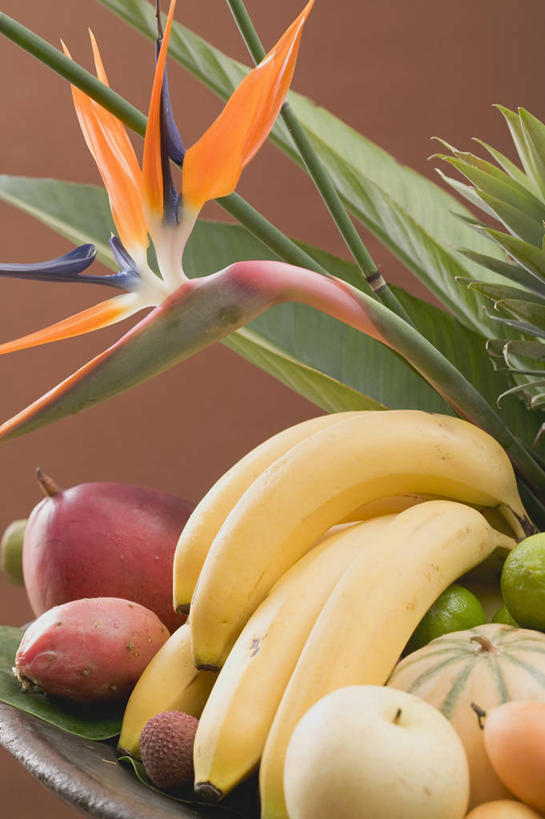 无人,竖图,俯视,室内,特写,白天,桌面,桌子,鹤望兰,芒果,香蕉,餐具,水果,阴影,黑色背景,新鲜,盛开,反射,木制,碟子,盘,影子,生食,食品,果实,花蕾,花,花瓣,花朵,鲜花,食物,一个,盘子,木制品,碟,花苞,花蕊,摄影,有机食品,绿色食品,影棚,单个,高雅,清新,极乐鸟花,天堂鸟,望果,蜜望,檬果,闷果,漭果,杧果,甘蕉,庵波罗果,彩图,高角度拍摄,影棚拍摄,拍摄
