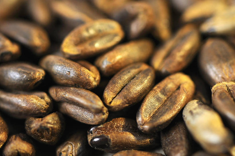 咖啡,无人,横图,俯视,室内,特写,白天,植物,豆,一堆,许多,阴影,堆叠,堆积,朦胧,模糊,反射,影子,豆类,豆子,很多,咖啡豆,堆,豆科,咖啡因,彩图,高角度拍摄