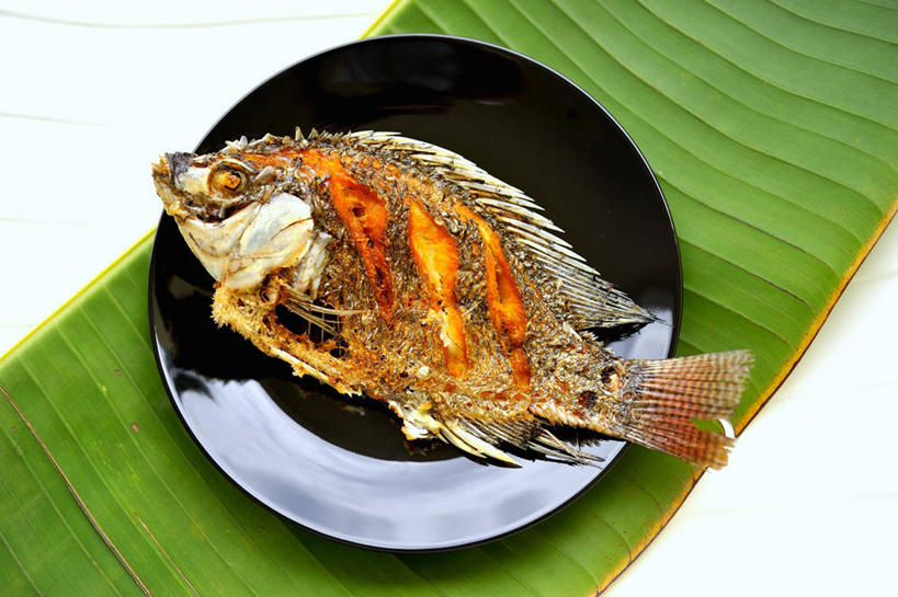 无人,横图,俯视,室内,特写,白天,白色背景,烹饪,植物,桌面,桌子,餐具,叶子,一块,阴影,反射,木制,鱼,碟子,盘,纹理,影子,肉,鱼肉,料理,食品,绿叶,泰式,菜肴,美食,肉类,鱼类,泰国料理,海洋生物,食物,一个,绿色,黑色,盘子,木制品,碟,嫩叶,摄影,佳肴,影棚,单个,水生动物,水生物,肉食,海底动物,罗非鱼,肌理,泰菜,泰国菜,泰式料理,非洲鲫鱼,吴郭鱼,越南鱼,叶,叶片,叶脉,彩图,高角度拍摄,影棚拍摄,拍摄