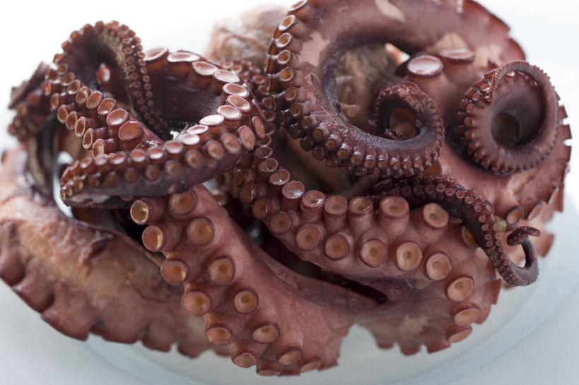 海鲜,无人,横图,俯视,室内,特写,白天,白色背景,桌面,桌子,章鱼,阴影,反射,木制,影子,水产,海洋生物,木制品,摄影,影棚,石吸,死牛,望潮,坐蛸,水生动物,海产品,水生物,海底动物,石居,八爪鱼,彩图,高角度拍摄,影棚拍摄,拍摄