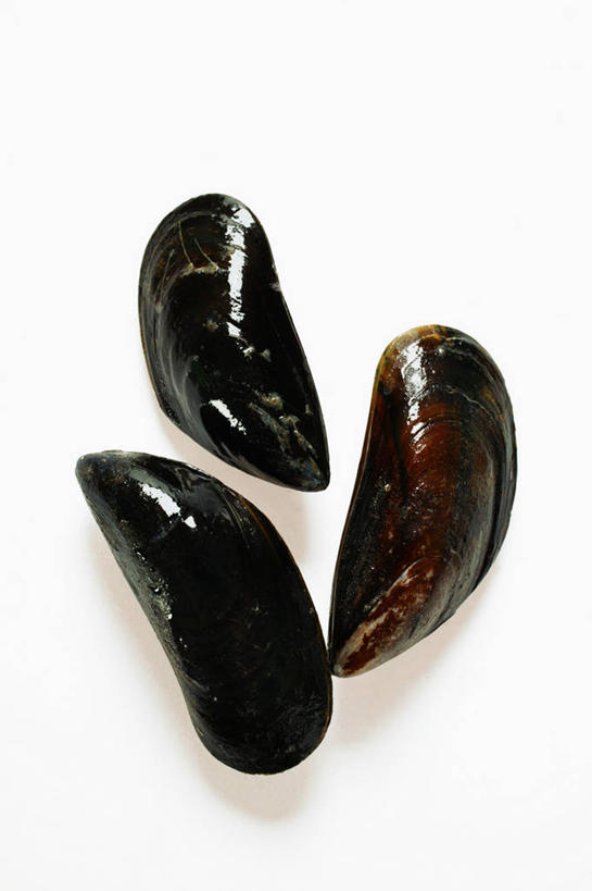 海鲜,无人,竖图,俯视,室内,特写,白天,白色背景,桌面,桌子,贝壳,阴影,反射,木制,影子,水产,海洋生物,三个,黑色,木制品,摄影,影棚,水生动物,海产品,贻贝,水生物,海底动物,海虹,淡菜,壳菜,青口,彩图,高角度拍摄,影棚拍摄,拍摄