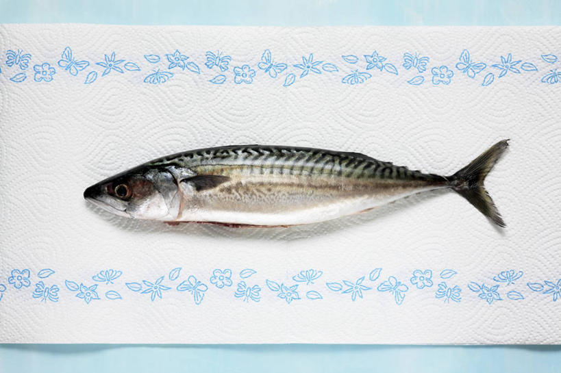 海鲜,无人,横图,俯视,室内,特写,白天,桌面,桌子,一条,阴影,反射,木制,鱼,影子,鲭鱼,水产,鱼类,海洋生物,餐巾,木制品,花池鱼,花鲱,花鳀,青花鱼,鲐鲅鱼,油胴鱼,水生动物,海产品,水生物,海底动物,保洁方巾,口布,彩图,高角度拍摄,全身