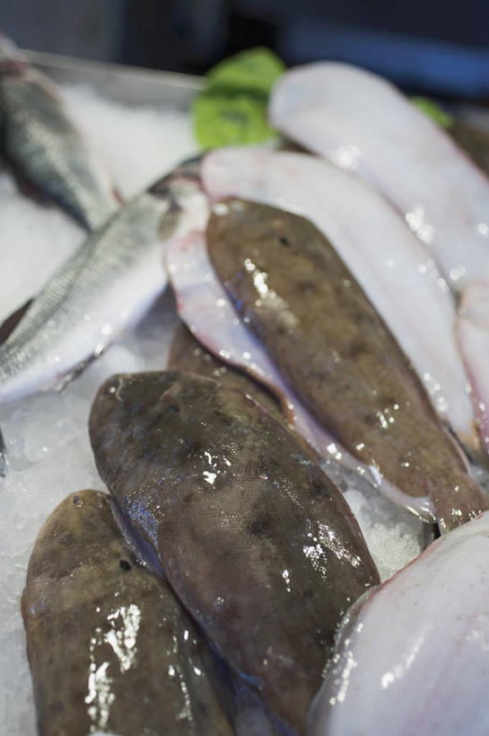 海鲜,无人,竖图,俯视,室内,特写,白天,购物,消费,比目鱼,一堆,许多,堆叠,堆积,朦胧,模糊,鱼,集市,市场,很多,水产,海洋生物,白色,灰色,金融,堆,水生动物,海产品,水生物,选购,贸易,海底动物,鲽鱼,半身,彩图,高角度拍摄,鱼市