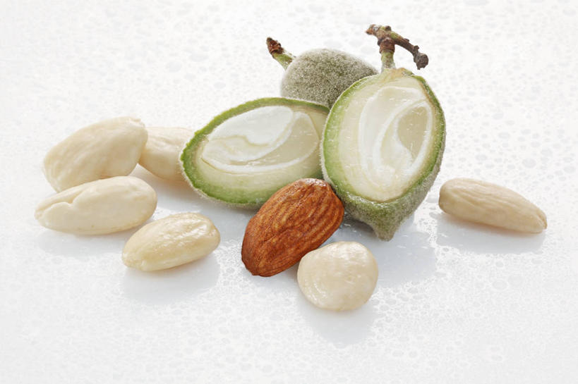 无人,横图,俯视,室内,特写,白天,餐桌,桌子,杏仁,阴影,反射,影子,坚果,果实,干果,餐台,杏子,杏梅仁,杏核仁,木落子,苦杏仁,彩图,高角度拍摄