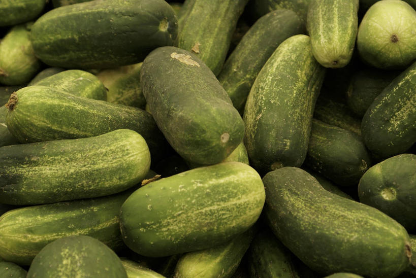 无人,横图,俯视,室内,特写,白天,黄瓜,蔬菜,一堆,许多,阴影,堆叠,堆积,新鲜,反射,影子,食品,食物,有机食品,绿色食品,堆,青瓜,胡瓜,彩图,高角度拍摄