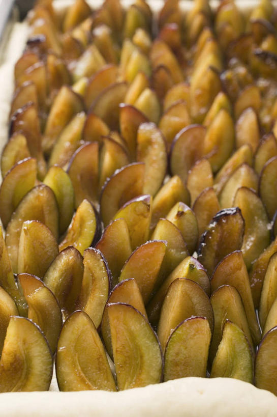 无人,竖图,俯视,室内,特写,白天,李子,水果,一排,许多,阴影,新鲜,整齐,反射,影子,生食,食品,果实,食物,排列,有机食品,绿色食品,队列,红李,鸡血李,杏李,彩图,高角度拍摄