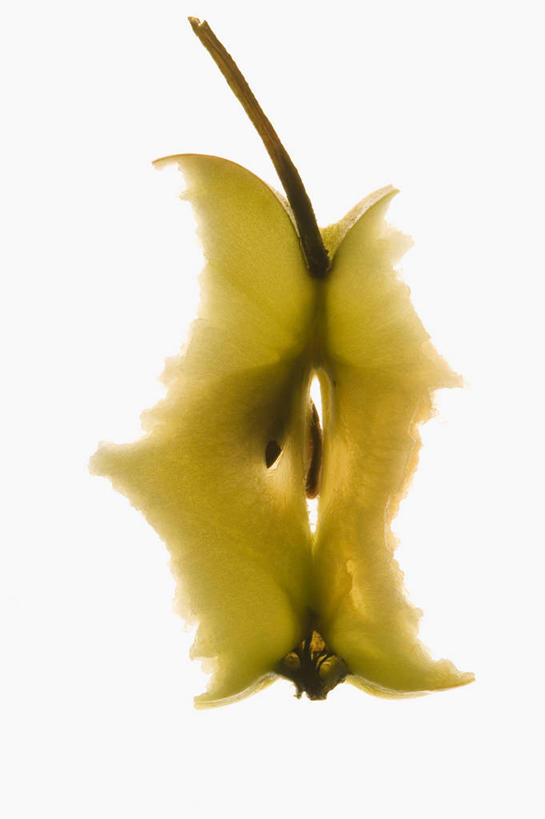 无人,竖图,室内,特写,白天,白色背景,正面,餐桌,桌子,苹果,水果,阴影,新鲜,反射,影子,生食,食品,果实,食物,一个,摄影,有机食品,绿色食品,影棚,单个,餐台,苹果核,彩图,影棚拍摄,拍摄