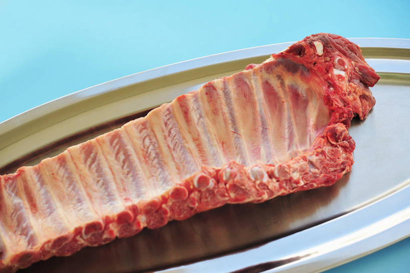 锁骨,肩胛骨,胸骨,肋骨,无人,横图,俯视,室内,特写,白天,桌面,桌子,餐具,金属制品,一块,阴影,蓝色背景,反射,纹路,金属,木制,碟子,盘,纹理,影子,肉,猪肉,肉类,盘子,木制品,碟,摄影,影棚,肉食,豚肉,肌理,胸椎,腰骨,肋软骨,彩图,高角度拍摄,影棚拍摄,拍摄