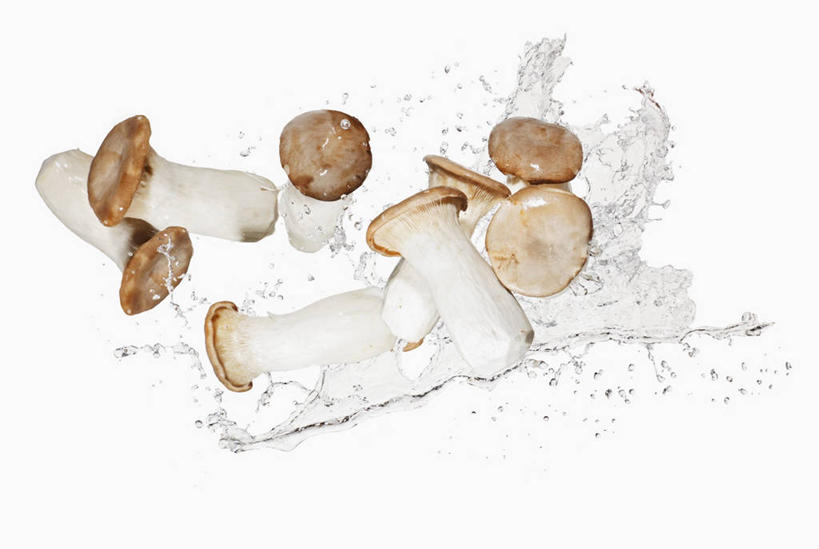 无人,横图,室内,特写,白天,白色背景,正面,水,蔬菜,阴影,飞溅,新鲜,溅,反射,液体,影子,水滴,菌菇,香菇,食品,菌类,水珠,食物,食用菌,摄影,有机食品,绿色食品,影棚,喷洒,彩图,影棚拍摄,拍摄