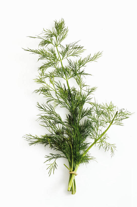 无人,竖图,俯视,室内,特写,白天,白色背景,桌面,桌子,叶子,阴影,反射,木制,影子,绿叶,木制品,嫩叶,摄影,影棚,莳萝,洋茴香,土茴香,叶,叶片,彩图,高角度拍摄,影棚拍摄,拍摄