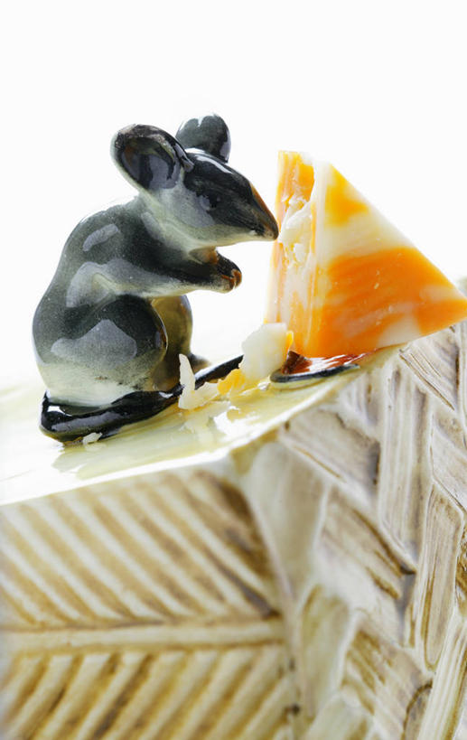 奶酪,无人,竖图,俯视,室内,特写,白天,白色背景,桌面,桌子,野生动物,老鼠,一块,阴影,反射,细菌,木制,影子,干酪,起司,芝士,营养,动物,木制品,乳酪,摄影,影棚,乳制品,发酵,病菌,传染,四害,耗子,彩图,高角度拍摄,影棚拍摄,拍摄