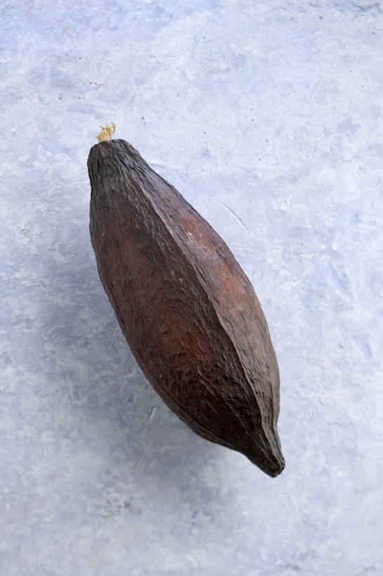 无人,竖图,俯视,室内,特写,白天,桌面,桌子,阴影,反射,木制,影子,果实,种子,可可,一个,木制品,摄影,影棚,单个,可可豆,可可子,彩图,高角度拍摄,影棚拍摄,拍摄