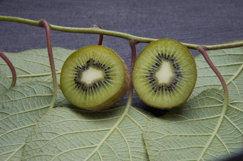 无人,横图,俯视,室内,特写,白天,植物,桌面,桌子,猕猴桃,水果,叶子,阴影,新鲜,反射,木制,纹理,影子,生食,食品,果实,绿叶,枝条,树,树木,树枝,食物,绿色,木制品,嫩叶,有机食品,绿色食品,横截面,剖面,肌理,虬枝,枝杈,截面,截面图形,叶,叶片,叶脉,奇异果,猕猴梨,彩图,高角度拍摄