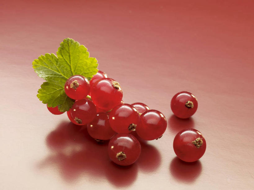 无人,横图,俯视,室内,特写,白天,植物,桌面,桌子,浆果,水果,叶子,阴影,红色背景,新鲜,反射,木制,纹理,影子,灯笼果,生食,食品,果实,绿叶,食物,红色,绿色,木制品,嫩叶,摄影,有机食品,绿色食品,影棚,红醋栗,肌理,叶,叶片,叶脉,醋栗,彩图,高角度拍摄,影棚拍摄,拍摄