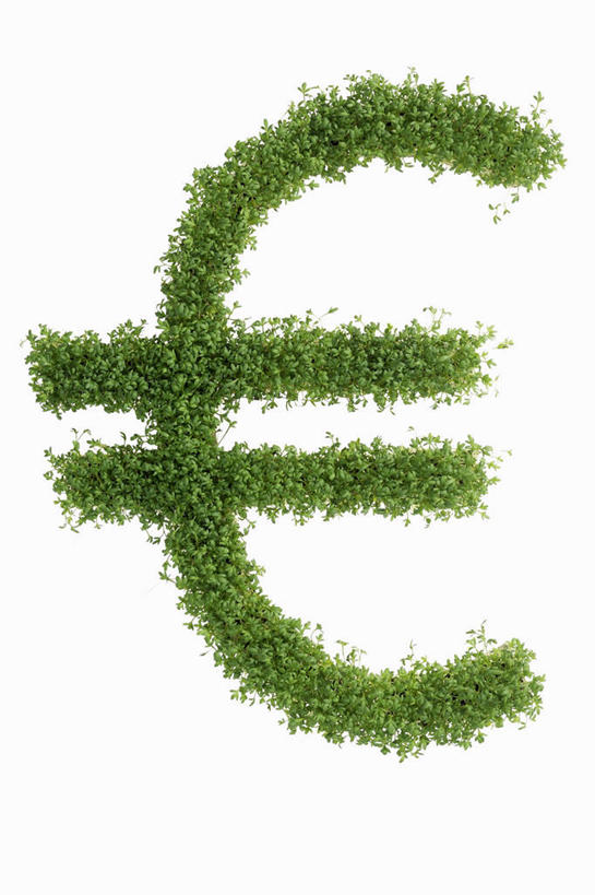 无人,竖图,俯视,室内,特写,白天,白色背景,钱,桌面,桌子,芹菜,蔬菜,阴影,新鲜,反射,木制,标志,钱币,文字,影子,字符,字母,食品,欧元,标识,食物,绿色,木制品,钞票,金融,纸币,摄影,有机食品,绿色食品,影棚,经济,青春,生命,和平,安详,流通,纸钞,贸易,根芹菜,根洋芹,球根塘蒿,冷色,货币,现金,药芹,水芹,旱芹,彩图,高角度拍摄,影棚拍摄,拍摄